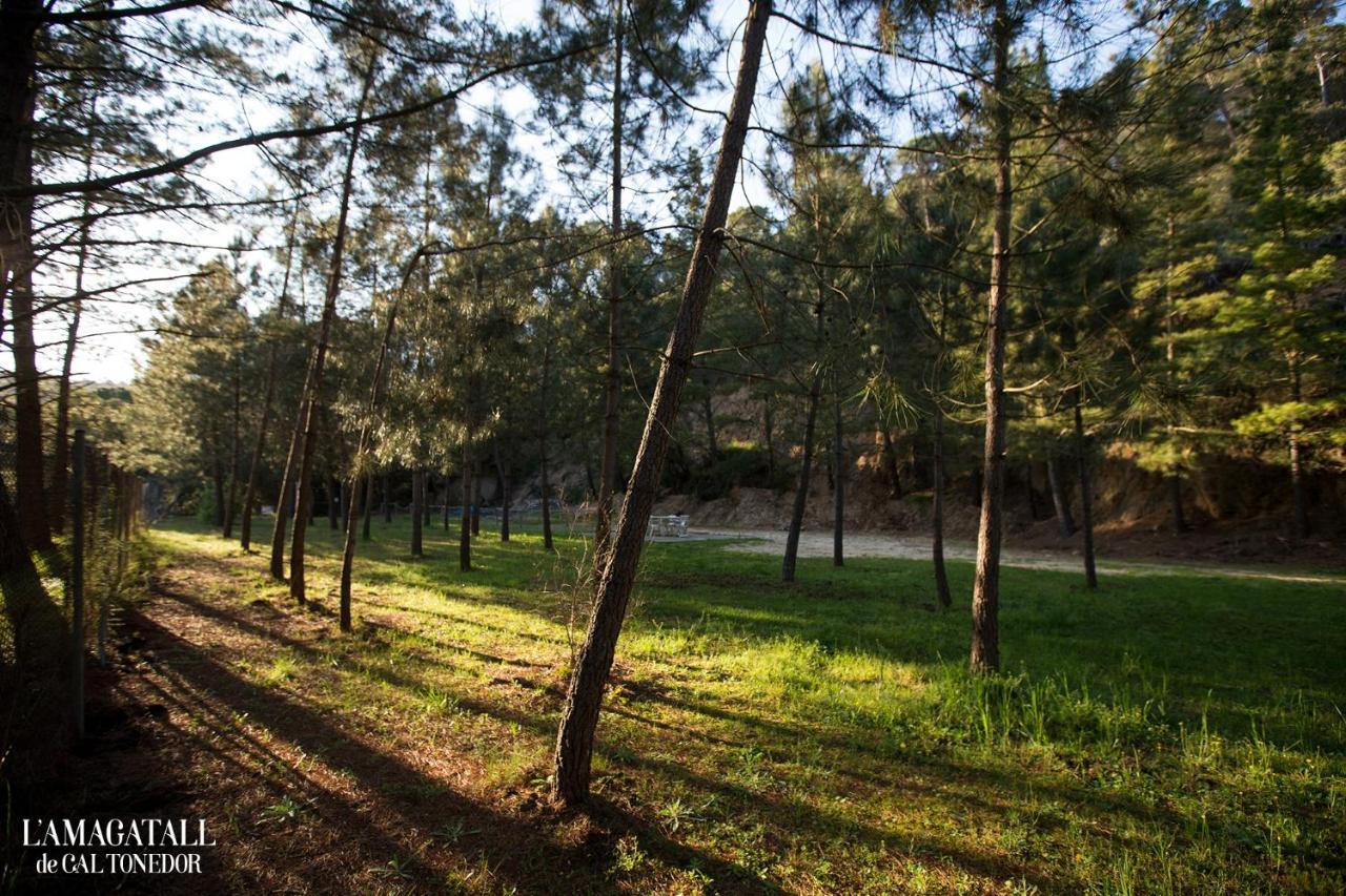 El Niu - L'Amagatall De Cal Tonedor Vallgorguina Kültér fotó